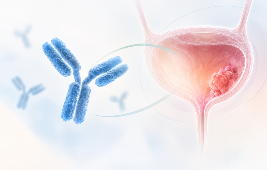 Visugromab plus nivolumab shows higher pathological response rates in the GDFATHER-NEO bladder cancer study.