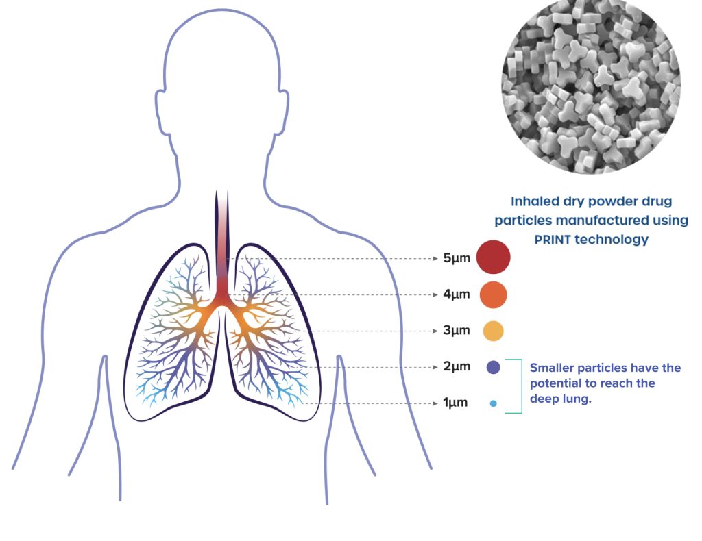 Lungs_Graphic-new Lungs_Graphic-new