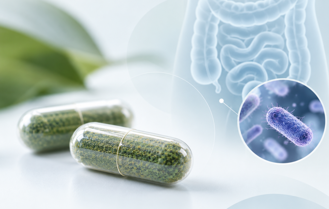 Illustration of oral LMN-201 biologic capsules targeting Clostridioides difficile infection and recurrence