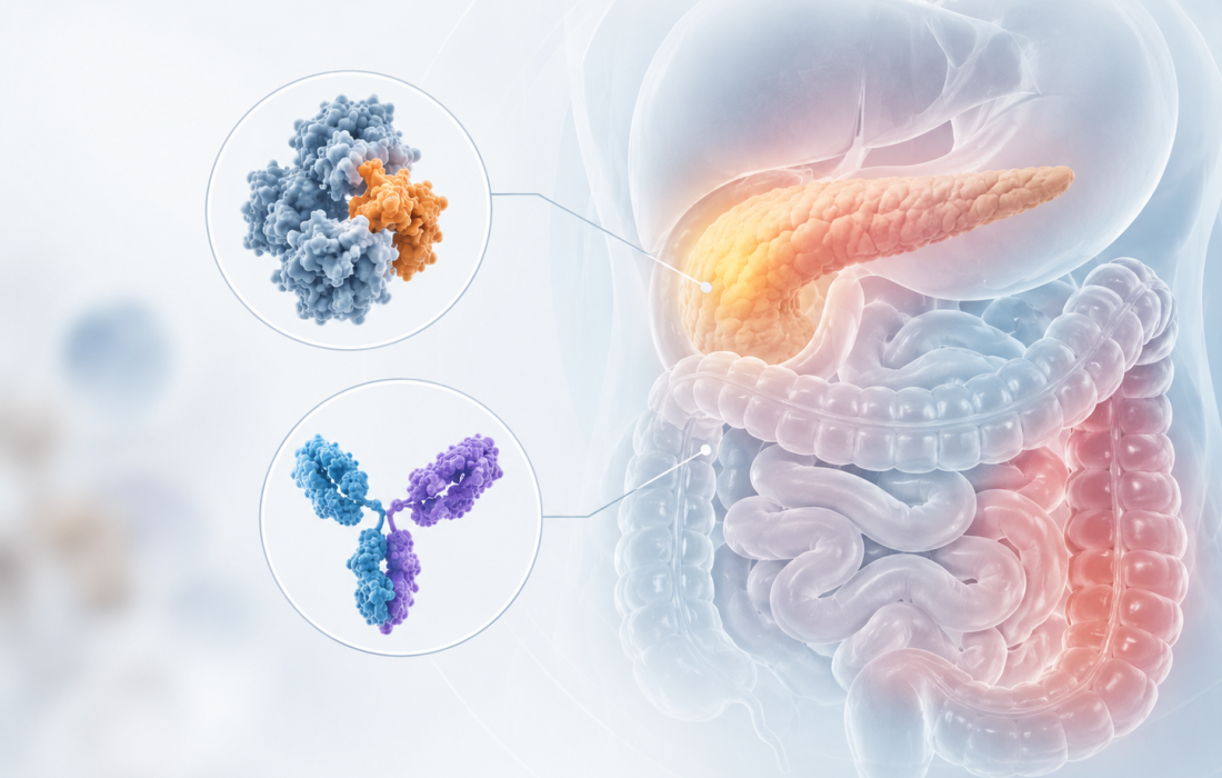 Investigational KRAS G12D inhibition and TGFβR2-PD-1 targeting strategies in pancreatic and colorectal cancer