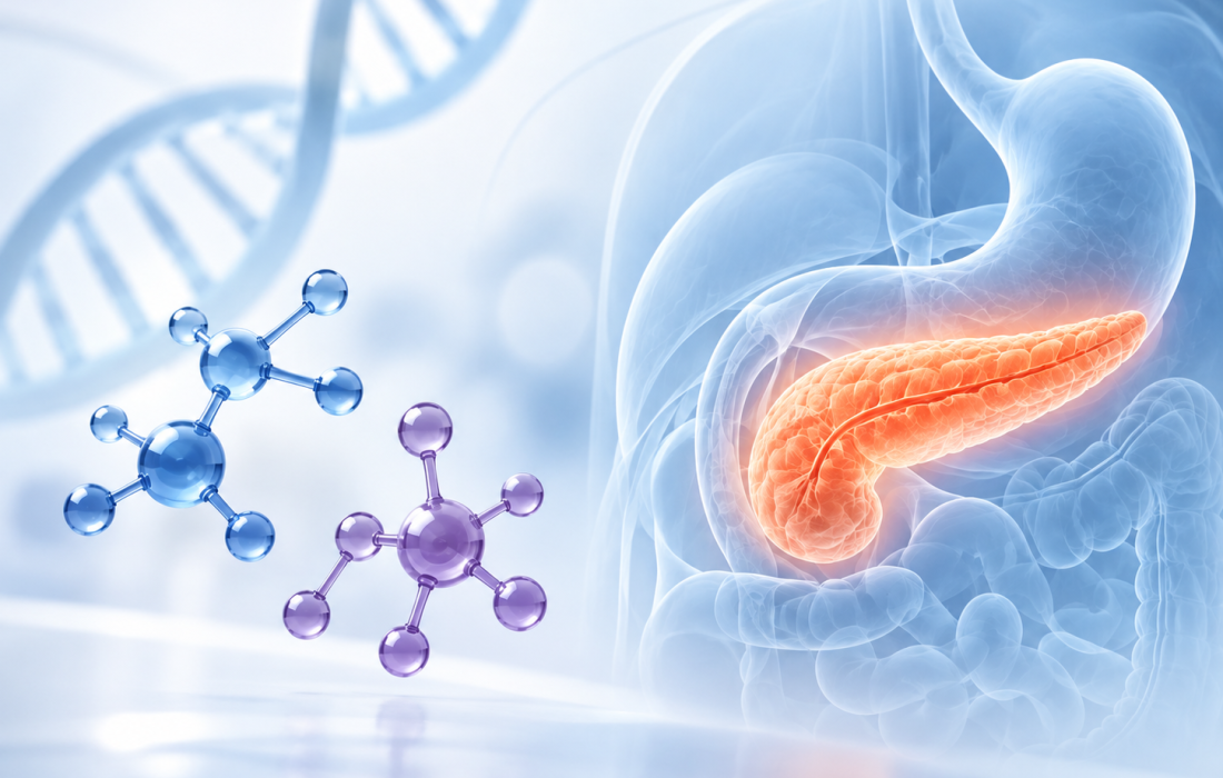 Revolution Medicines RASolute 309 trial evaluating daraxonrasib and zoldonrasib in RAS G12D pancreatic cancer