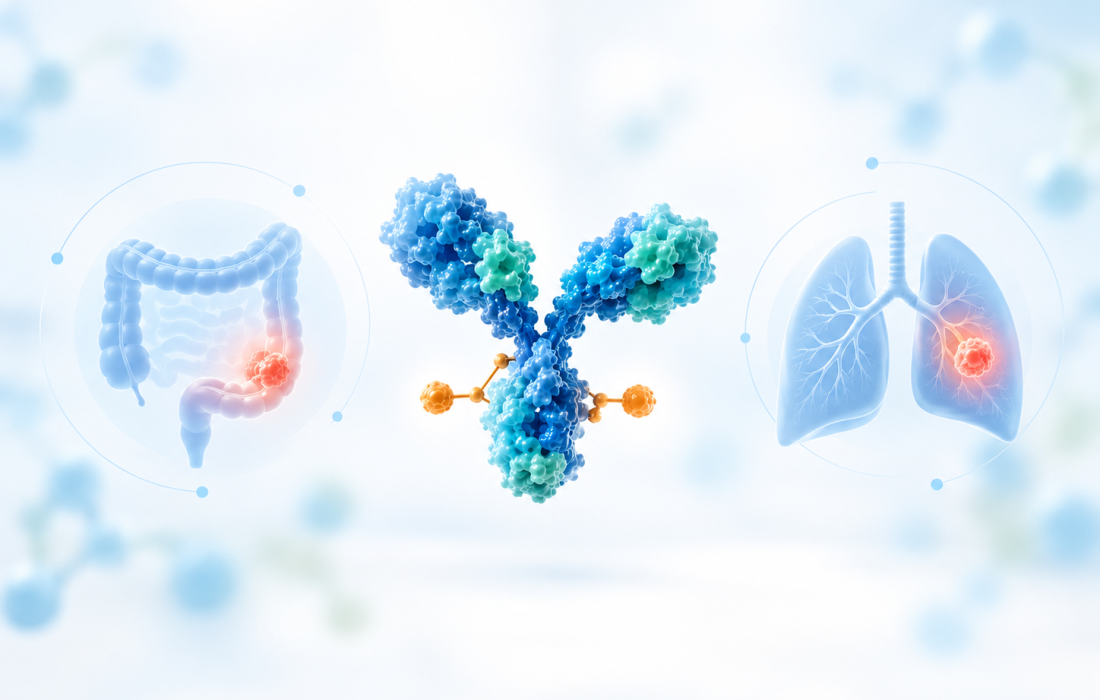 Telisotuzumab adizutecan Temab-A c-Met antibody-drug conjugate for colorectal cancer and NSCLC