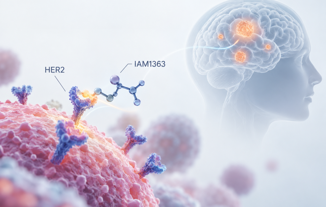 Scientific illustration of investigational HER2 inhibitor IAM1363 targeting HER2-driven cancers, including brain metastases