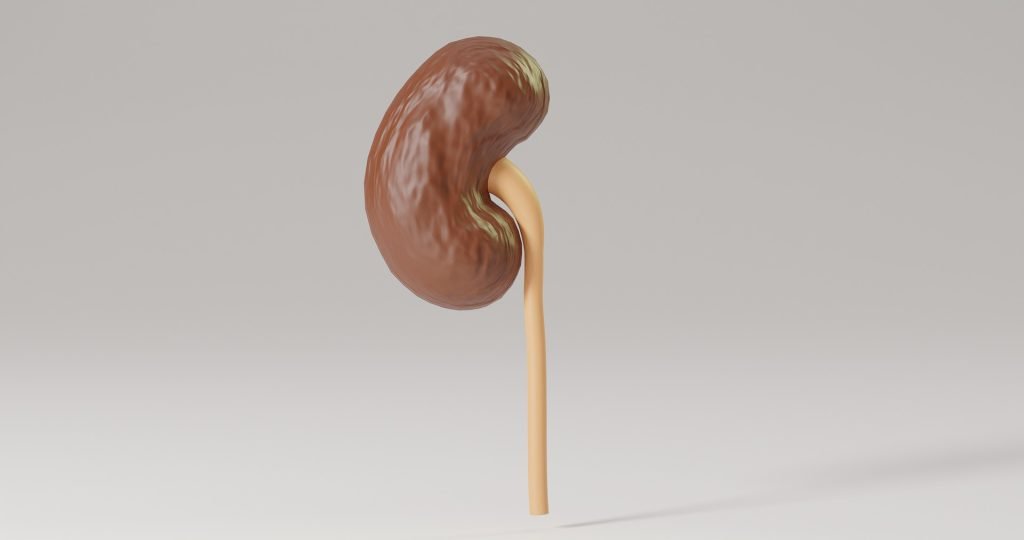 animateon-human-5068577_1920