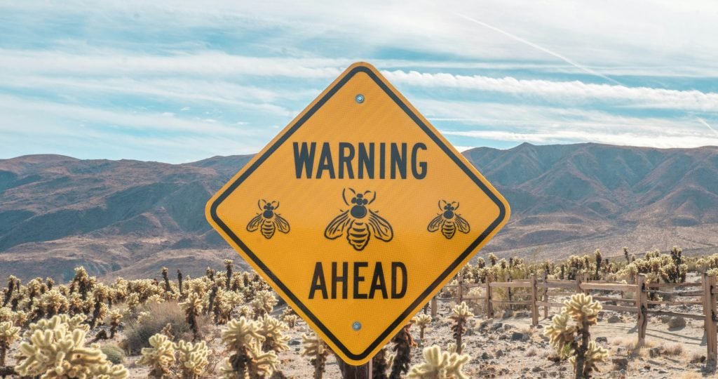 breana-panaguiton-P4vFfdGl_8s-unsplash