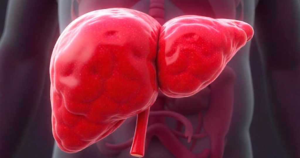 freepik__3d-rendering-of-a-liver-affected-by-fatty-liver-di__3144