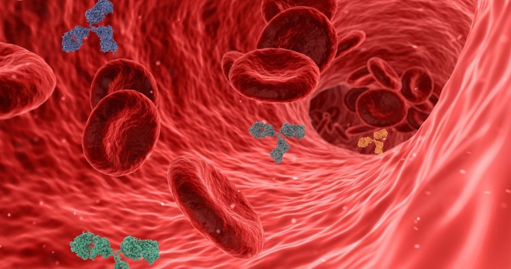 virus, pathogen, antibody, antibodies, immune system, red blood cells, blood vessel, artery, vein, capillary, inflammation, disease, immunity, infection, health, medical, 3d, human body, circulation, antibody, antibody, antibody, antibodies, antibodies, immune system, immune system, immune system, immune system, blood vessel, blood vessel, blood vessel, blood vessel, artery, inflammation, inflammation, inflammation, inflammation, inflammation, immunity, human body, human body, circulation