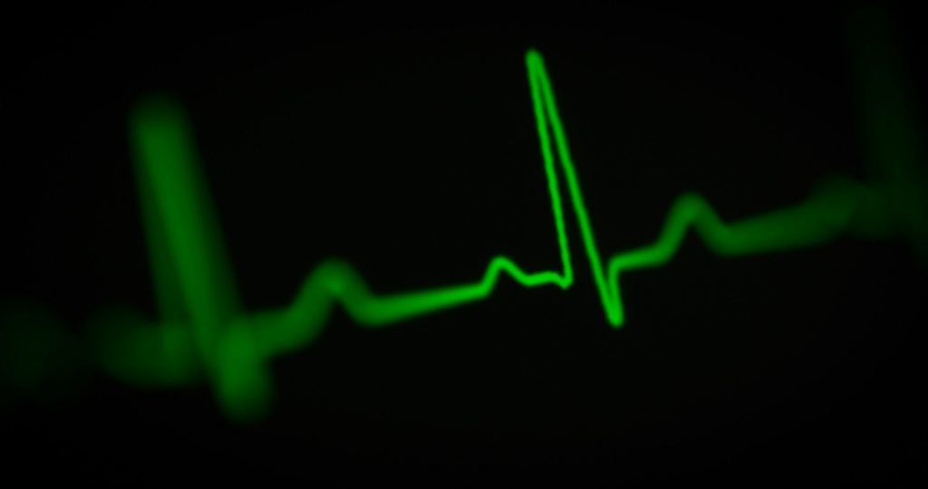 joshua-chehov-oCSol-lBtVA-unsplash (1)