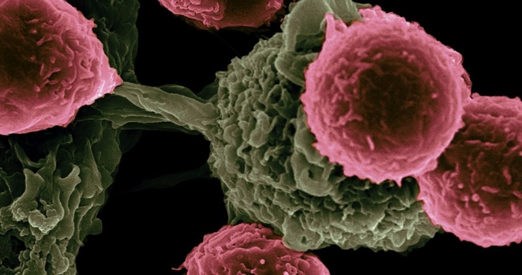 Tecvayli (teclistamab) and Talvey (talquetamab) dual bispecific antibody regimen showed significant progression-free and overall survival benefits in the Phase 3 MonumenTAL-6 trial for relapsed or refractory multiple myeloma.