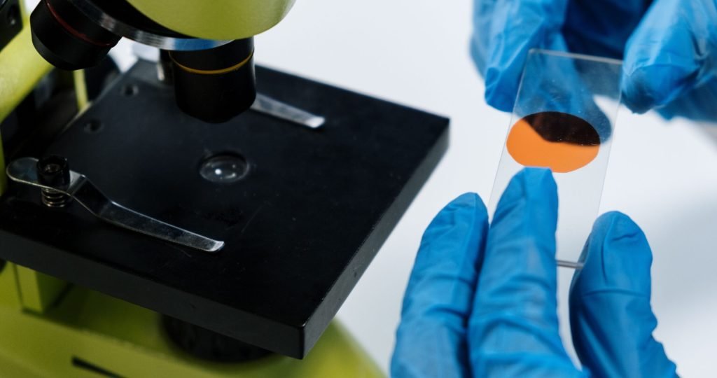 Close-up of a scientist handling a microscope slide with blue latex gloves, preparing for analysis.