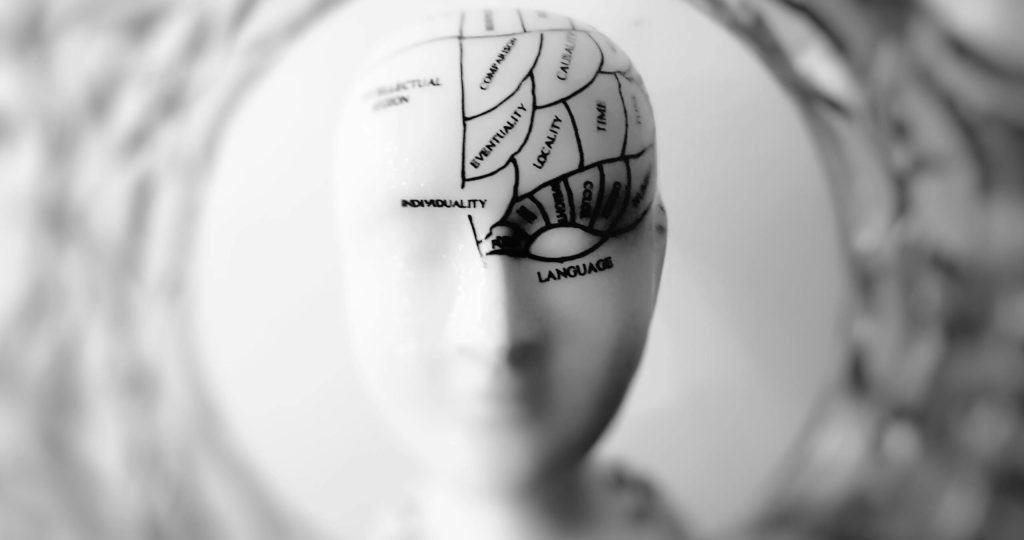 Close-up black and white image of a phrenology head with brain sections labeled.
