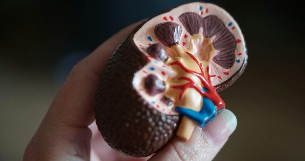 robina-weermeijer-sRXCFkJahGk-unsplash