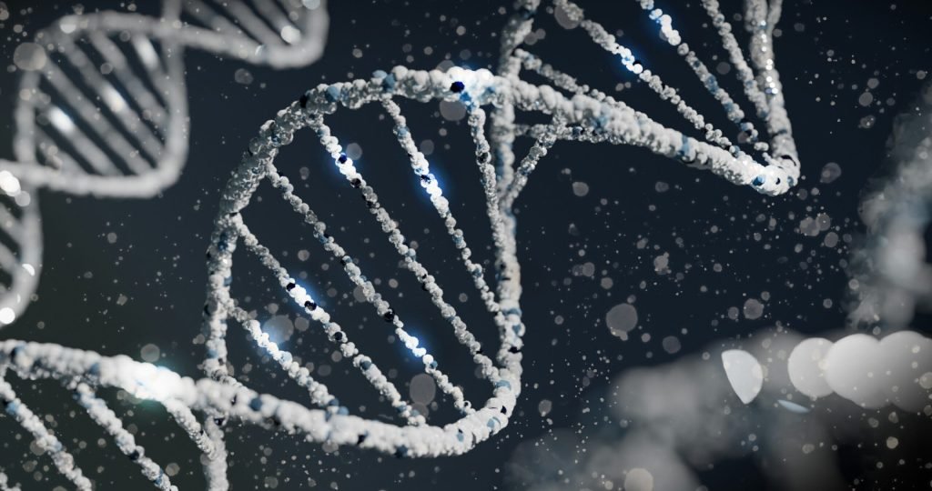 sangharsh-lohakare-Iy7QyzOs1bo-unsplash