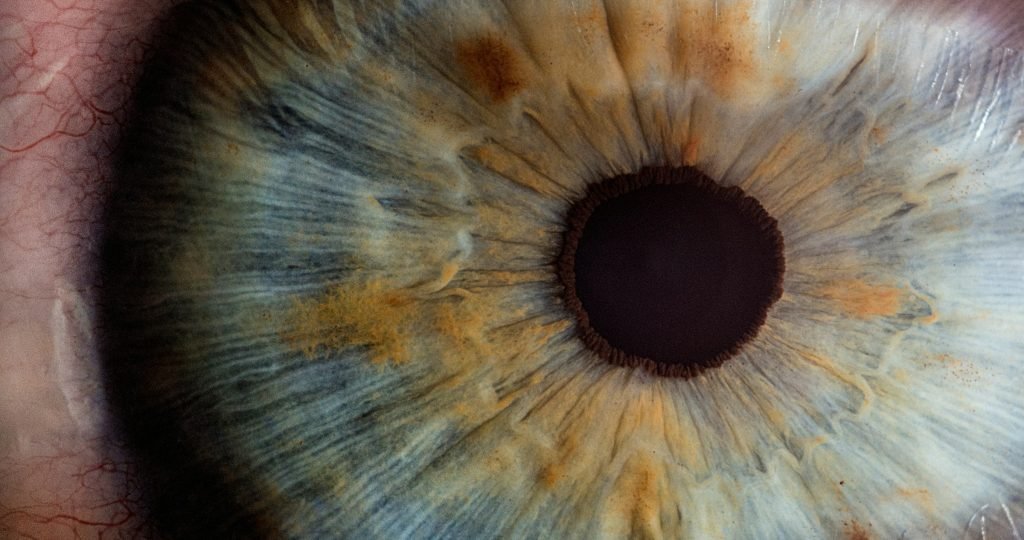 Retina scan illustrating neovascular age-related macular degeneration alongside TH103 investigational therapy advancing in Phase 1 clinical development.